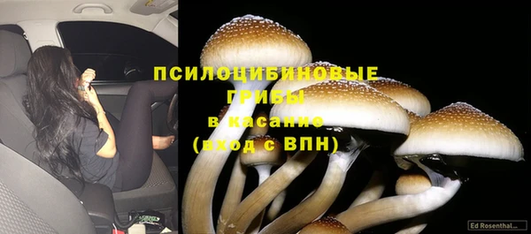 прущий лед Михайлов