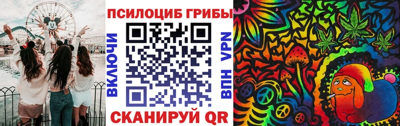 Галлюциногенные грибы Cubensis мориарти состав Константиновск